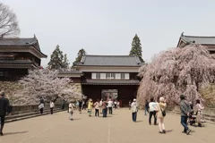 春爛漫！約1,000本の桜が咲き誇る　第23回上田城千本桜まつり　4月4日(土)～12日(日)に開催！！